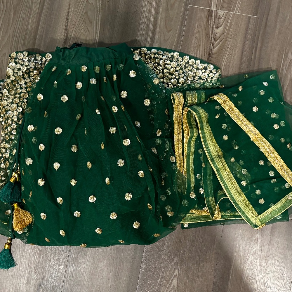 Traditional green/gold lehnga with dupatta